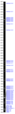 Thumbnail for version as of 11:38, 1 June 2026
