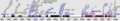 Thumbnail for version as of 06:40, 11 July 2026