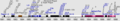 Thumbnail for version as of 05:49, 11 July 2026
