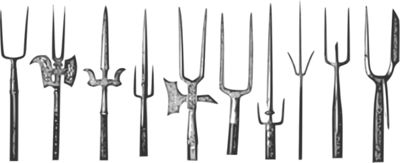 Forks.jpg