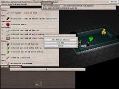 Graphical user interface - NetHack Wiki